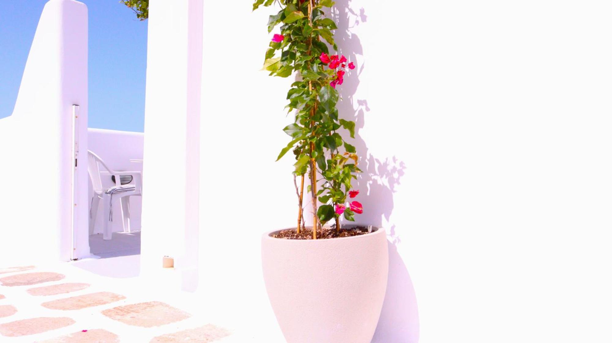 Lemon Tree Maisonette - Naoussa Paros Esterno foto